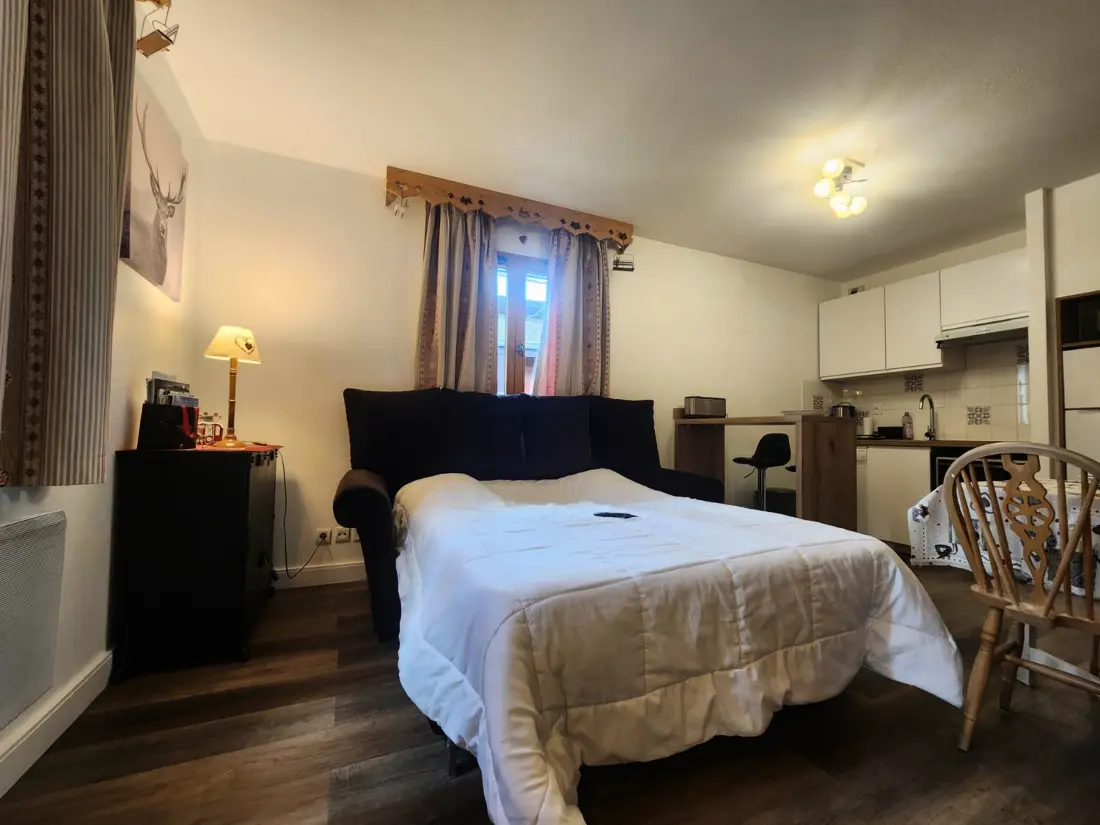 Location de Vacances Samoëns 228