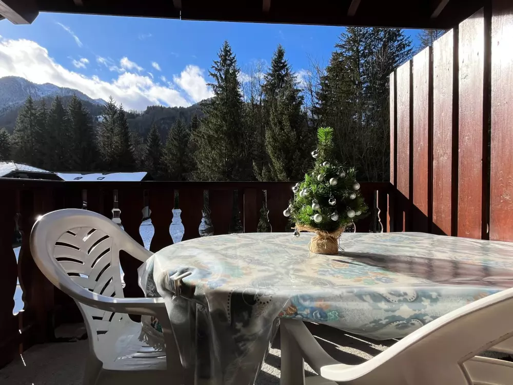 Location de Vacances Samoëns 238