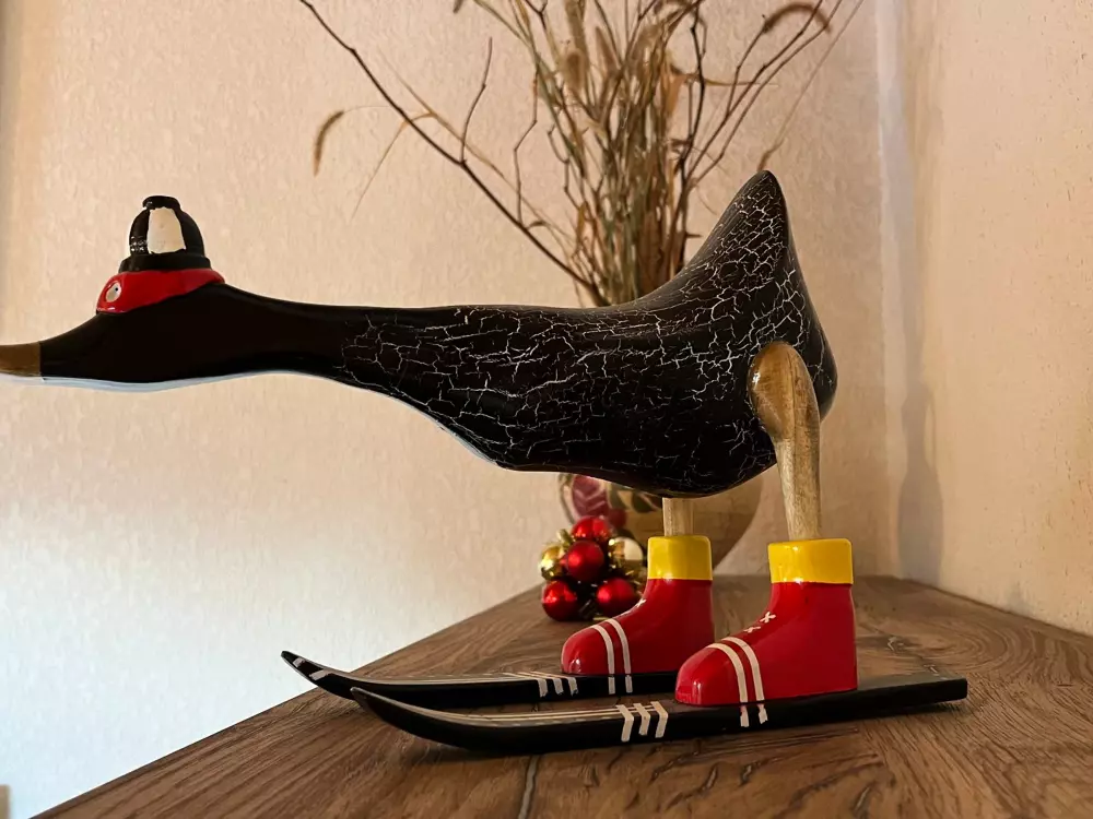 Location de Vacances Samoëns 238