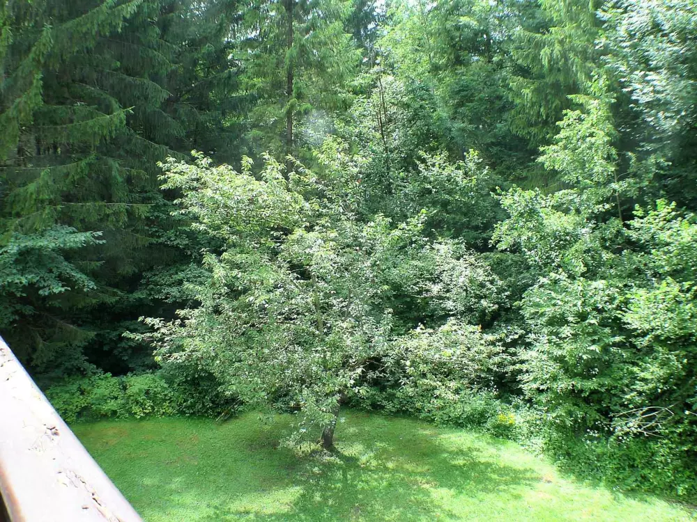 Location de Vacances Samoëns 245