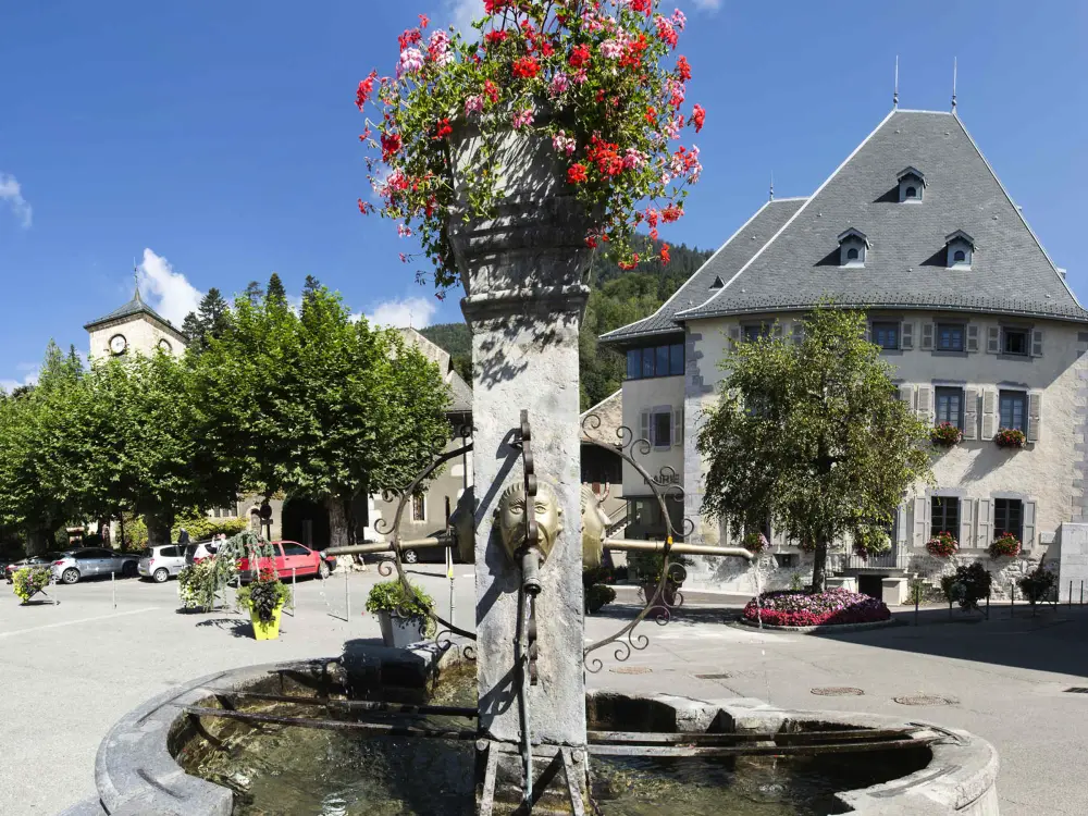 Location de Vacances Samoëns 253