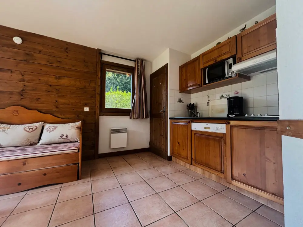 Location de Vacances Samoëns 253