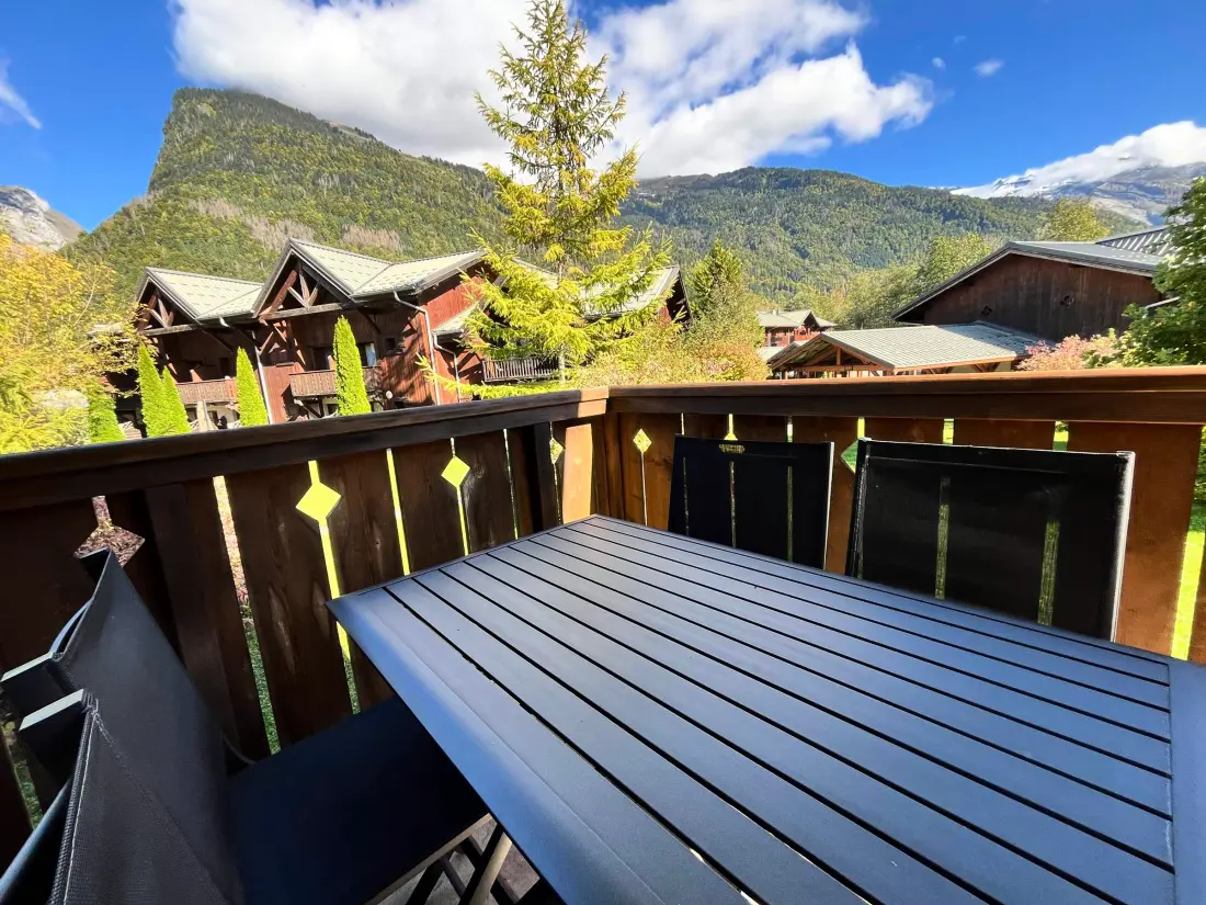 Location de Vacances Samoëns 263