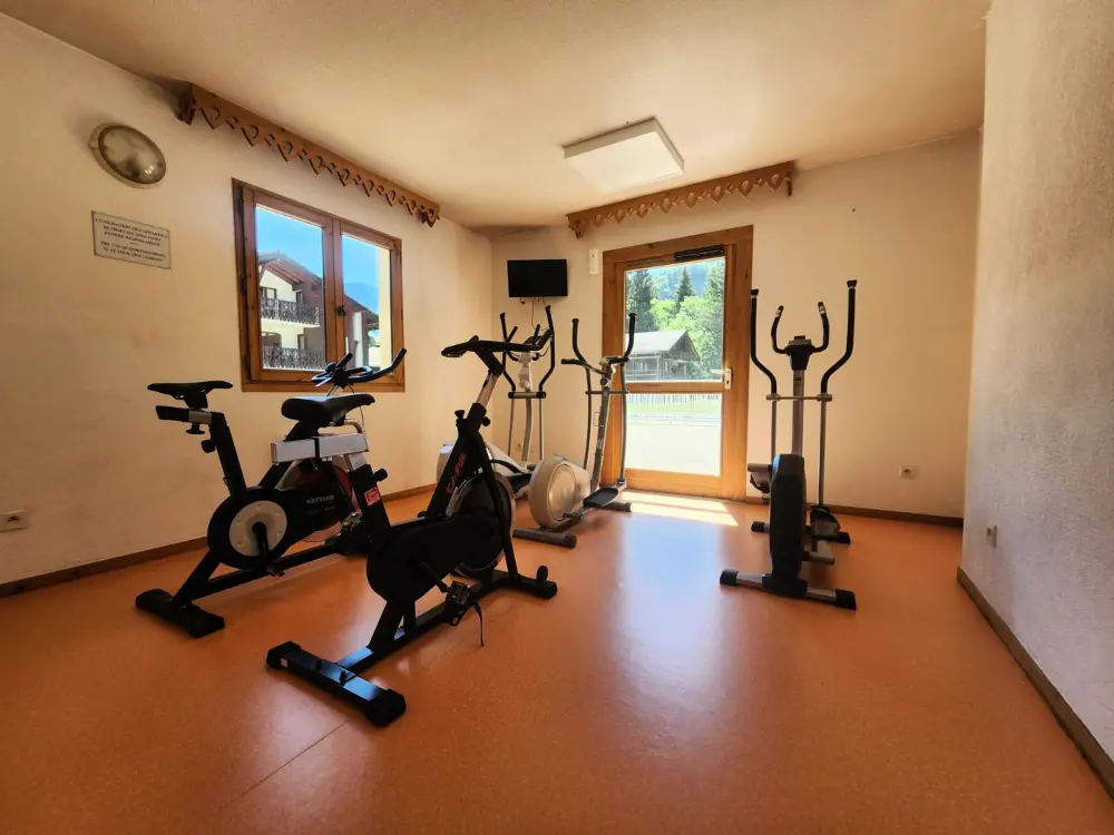 Location de Vacances Samoëns 271