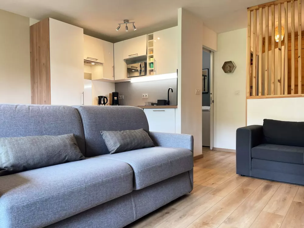 Location de Vacances Samoëns 276