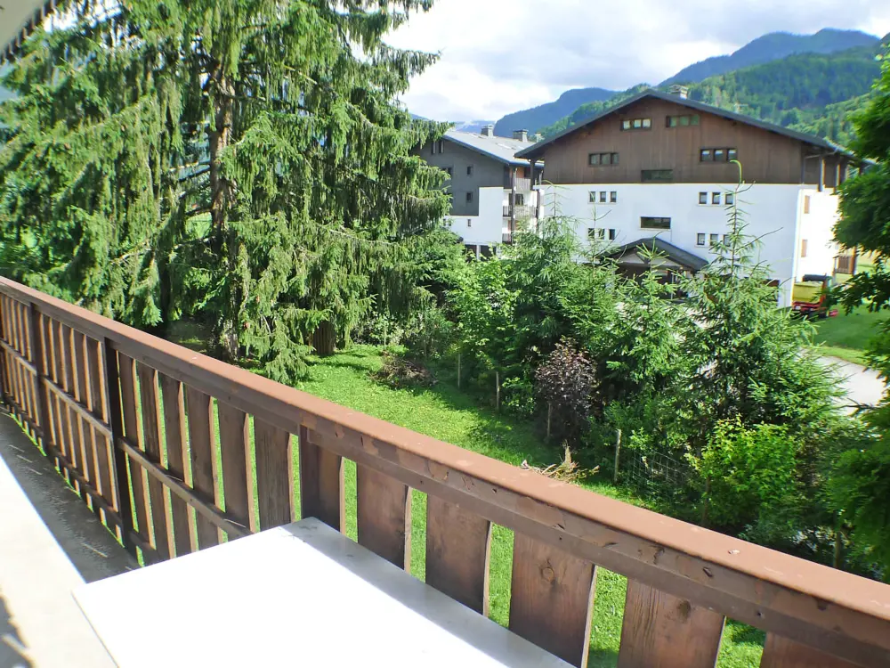 Location de Vacances Samoëns 29