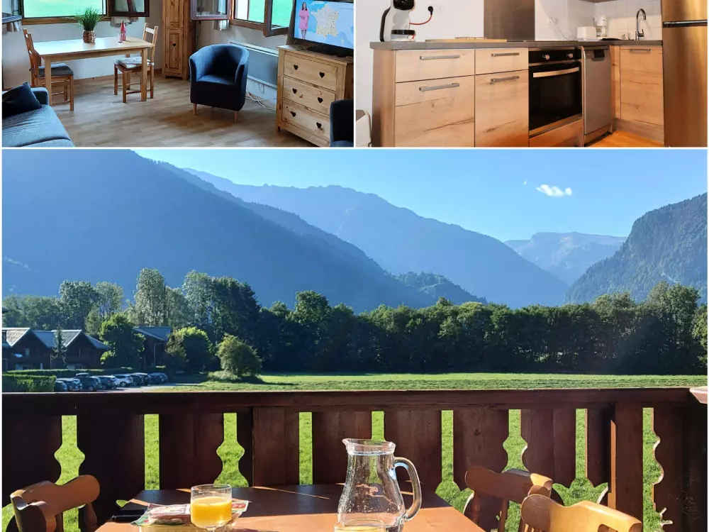 Location de Vacances Samoëns 298