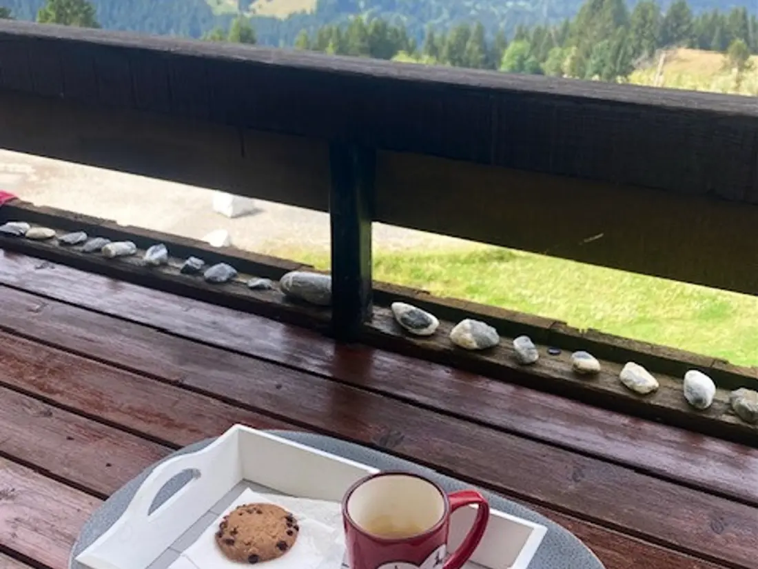 Location de Vacances Samoëns 318
