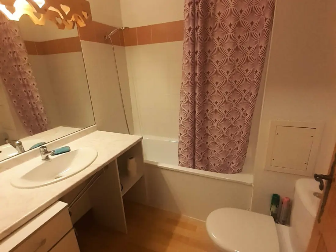 Location de Vacances Samoëns 323