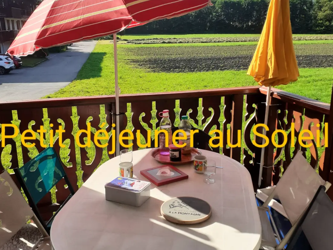 Location de Vacances Samoëns 323