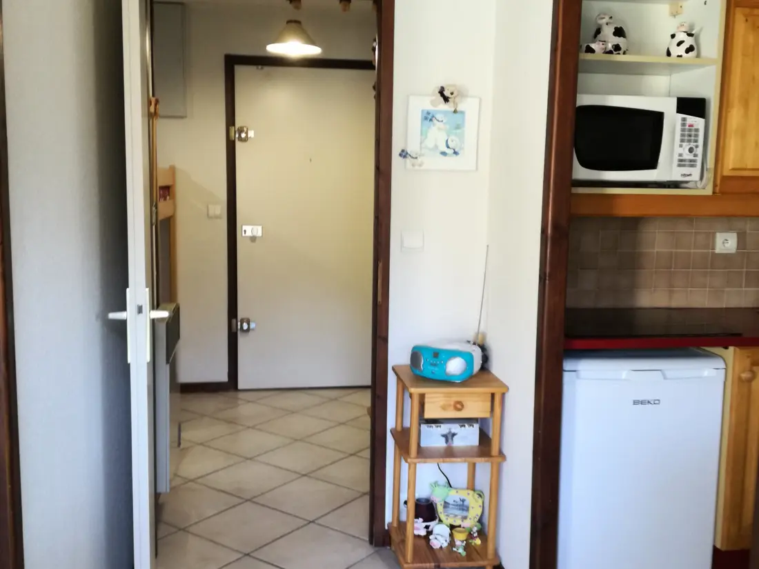Location de Vacances Samoëns 335