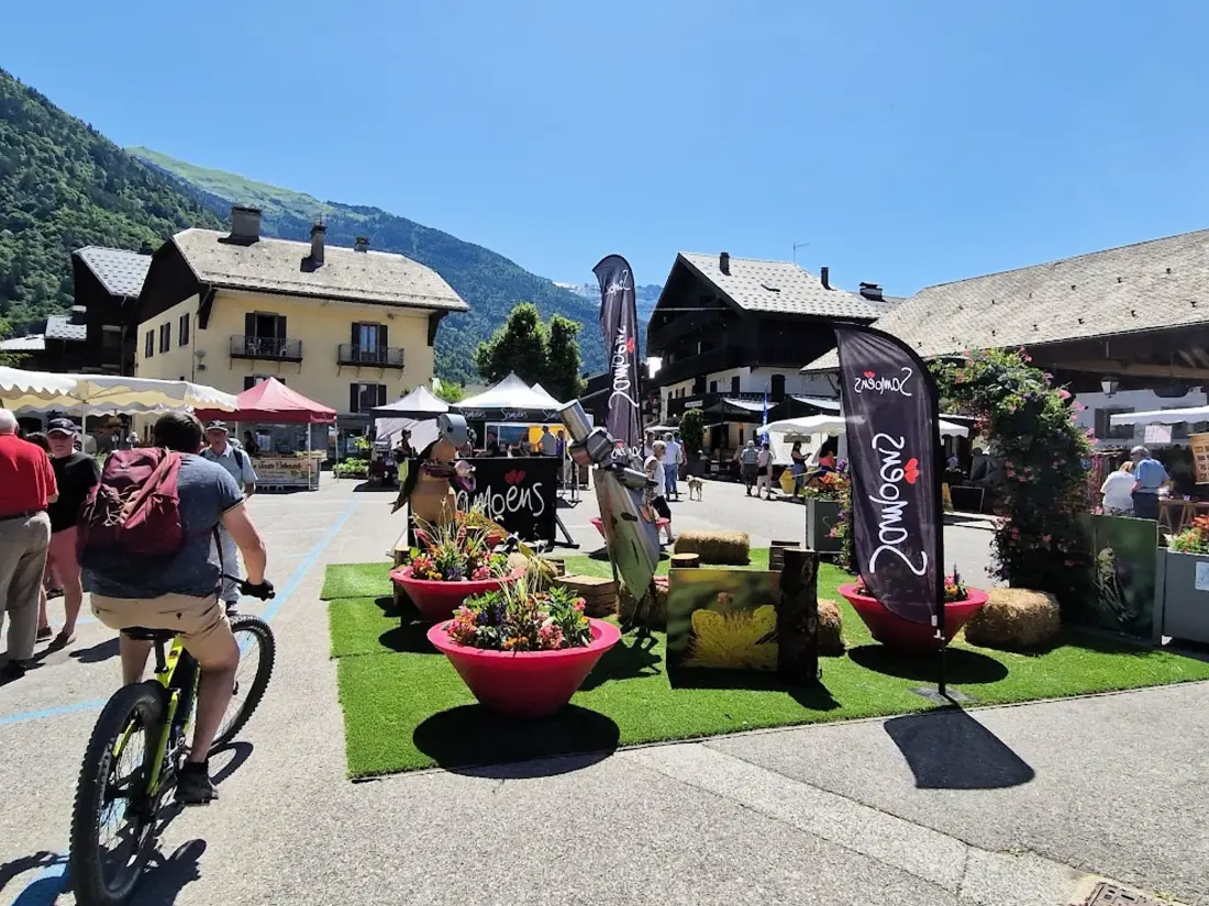 Location de Vacances Samoëns 347