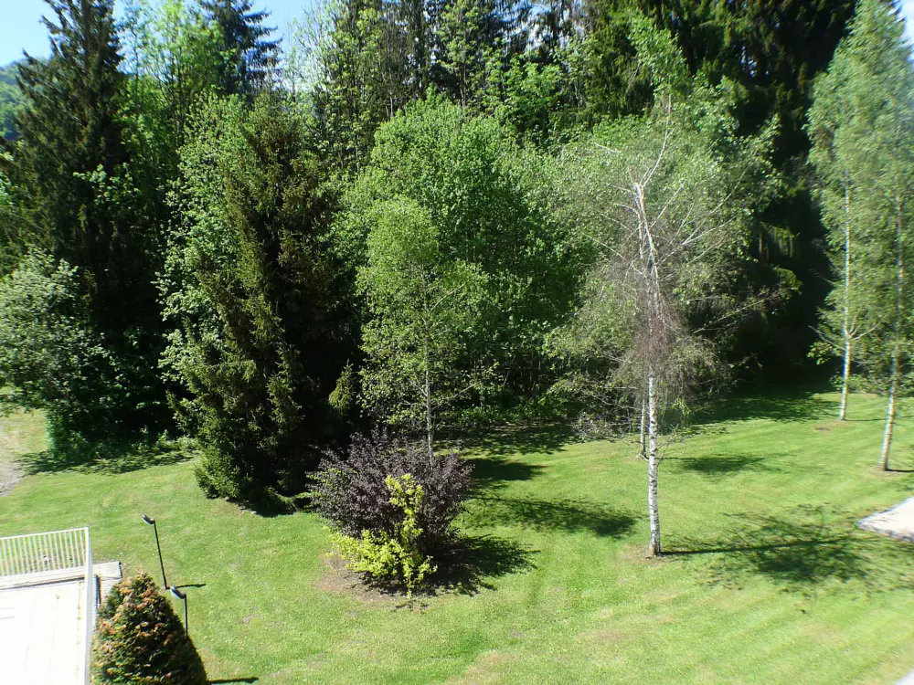 Location de Vacances Samoëns 42