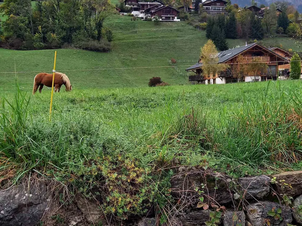 Location de Vacances Samoëns 76