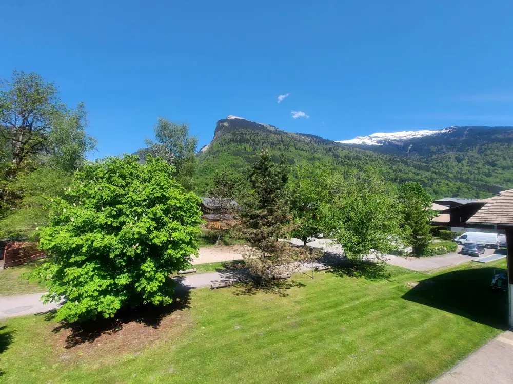Location de Vacances Samoëns 94