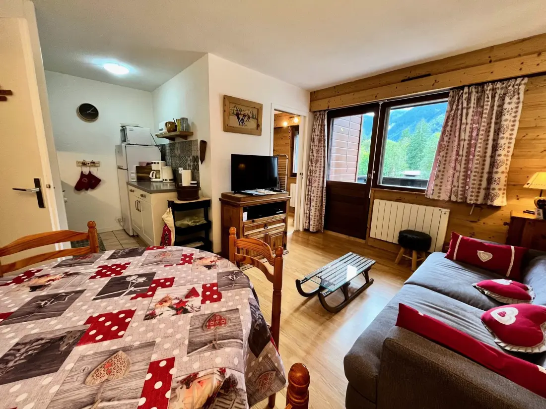 Location de Vacances Samoëns 96