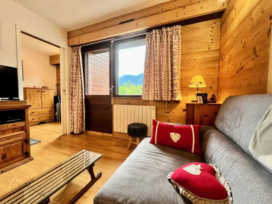 Location de Vacances Samoëns 96