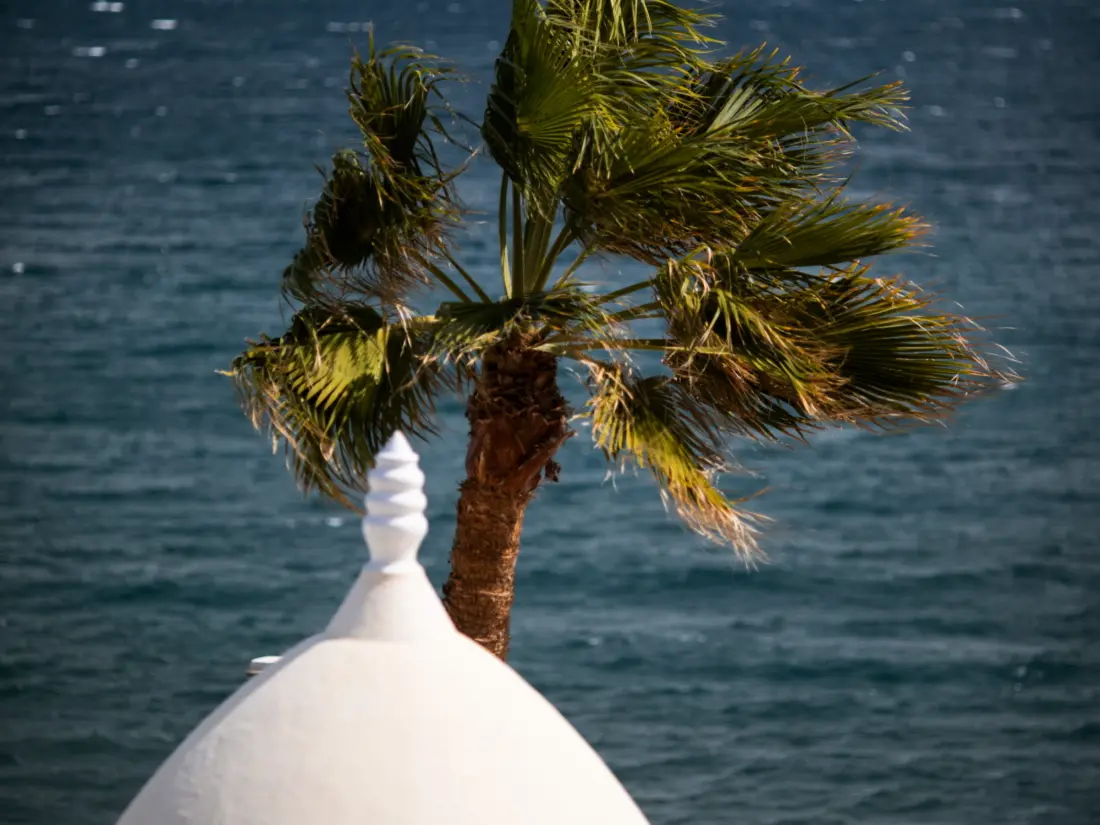 Maison de Vacances San Bartolomé de Tirajana 21