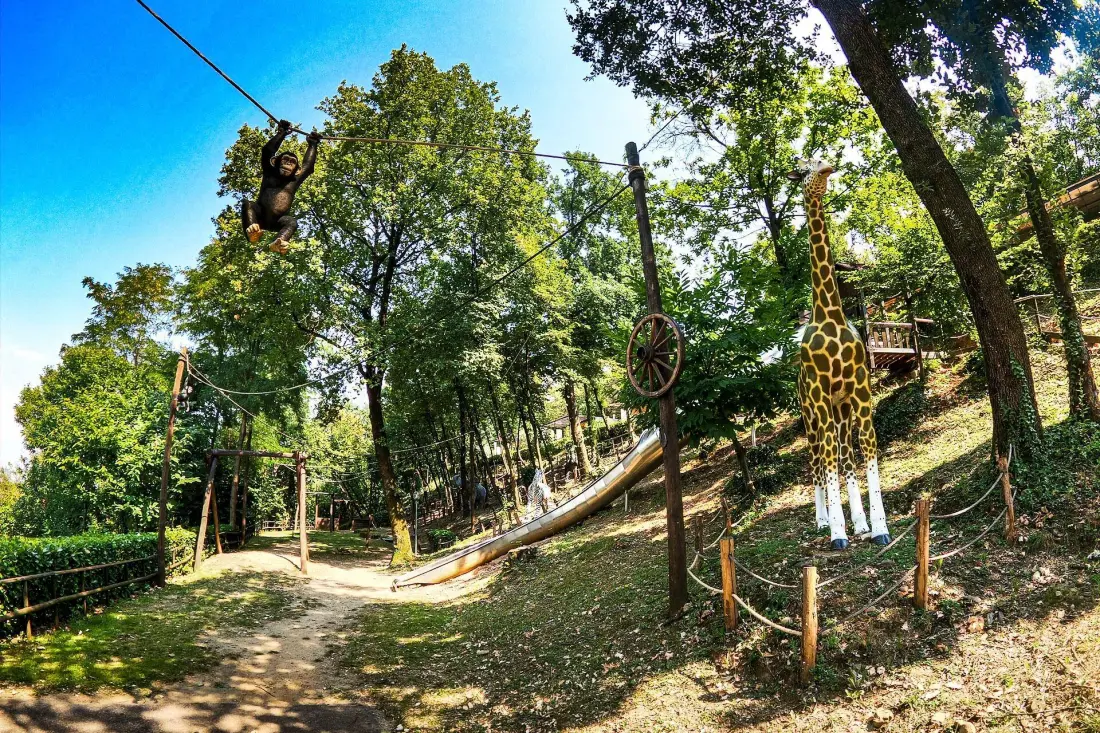 Camping Weekend