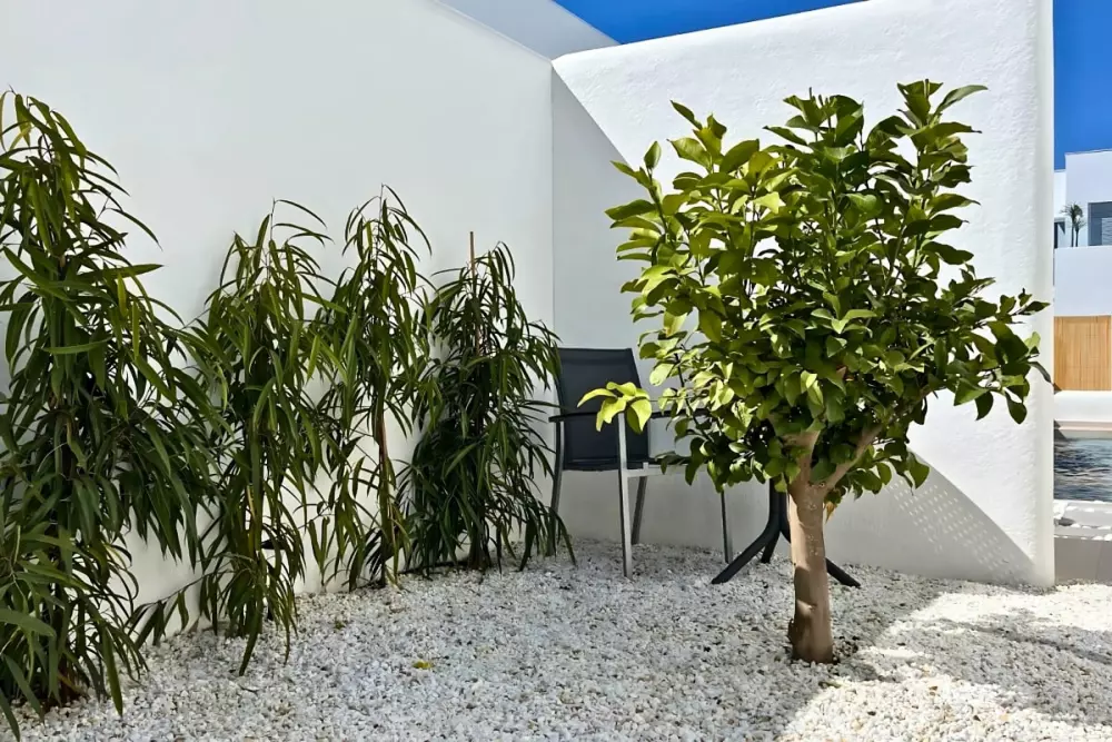 Villa Avec Piscine Privée  à San Fulgencio