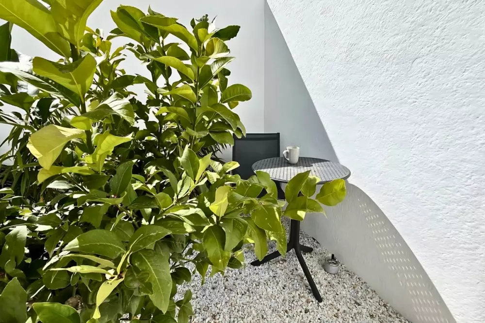 Villa Avec Piscine Privée  à San Fulgencio