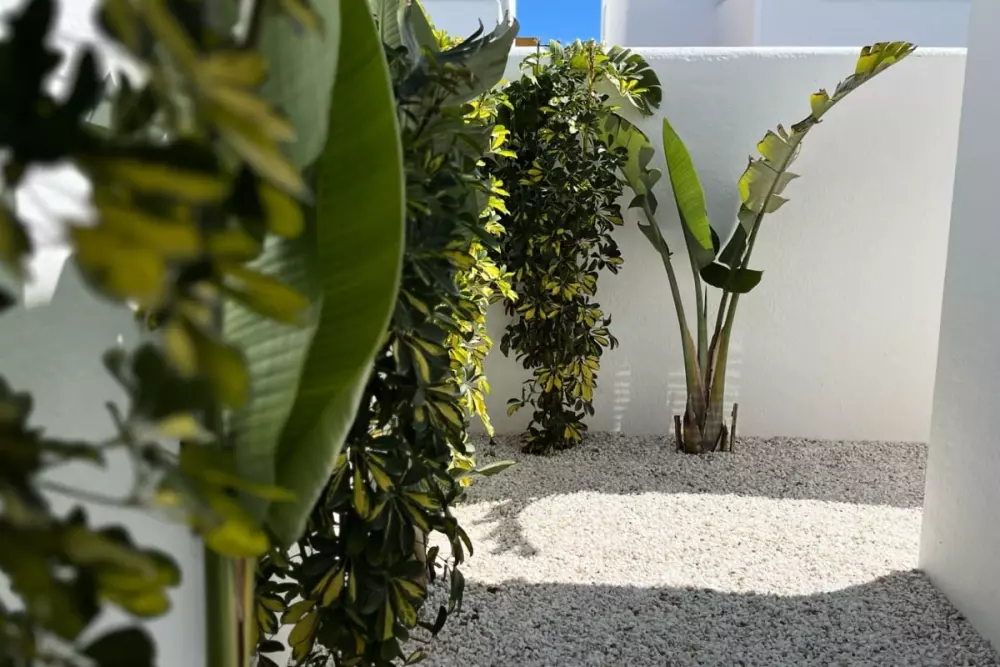 Villa Avec Piscine Privée  à San Fulgencio