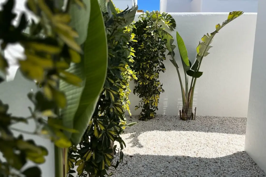 Villa Avec Piscine Privée  à San Fulgencio