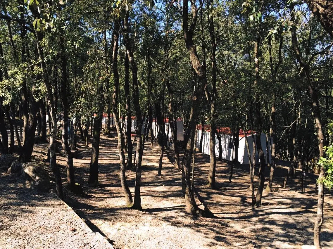 Camping Boschetto di Piemma 3 étoiles★★★