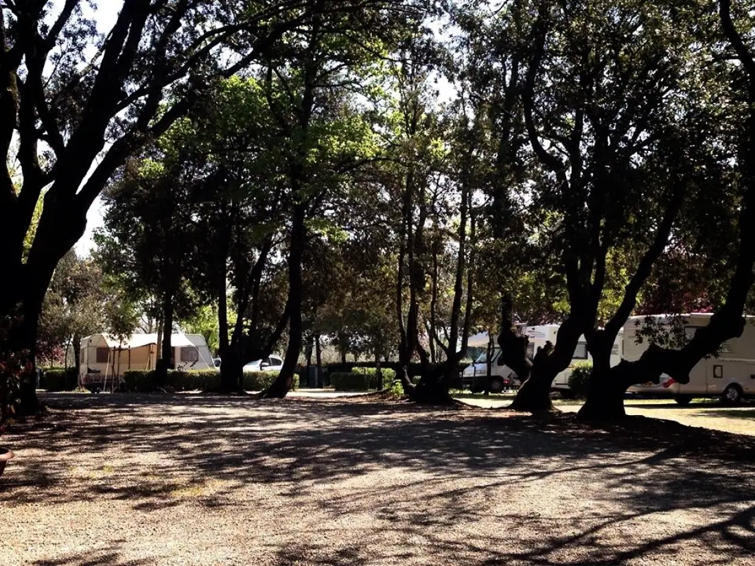 Camping Boschetto di Piemma 3 étoiles★★★