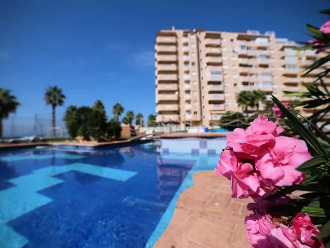 Location de Vacances San Javier 15