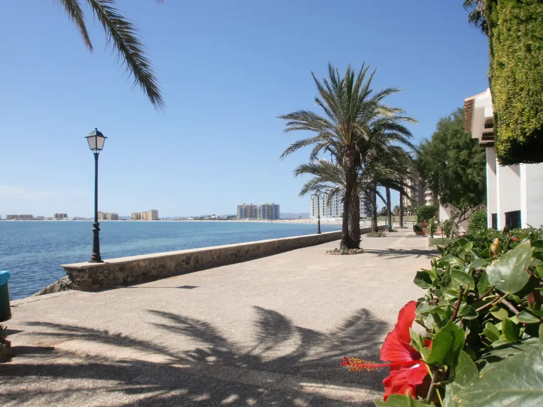 Location de Vacances San Javier 160