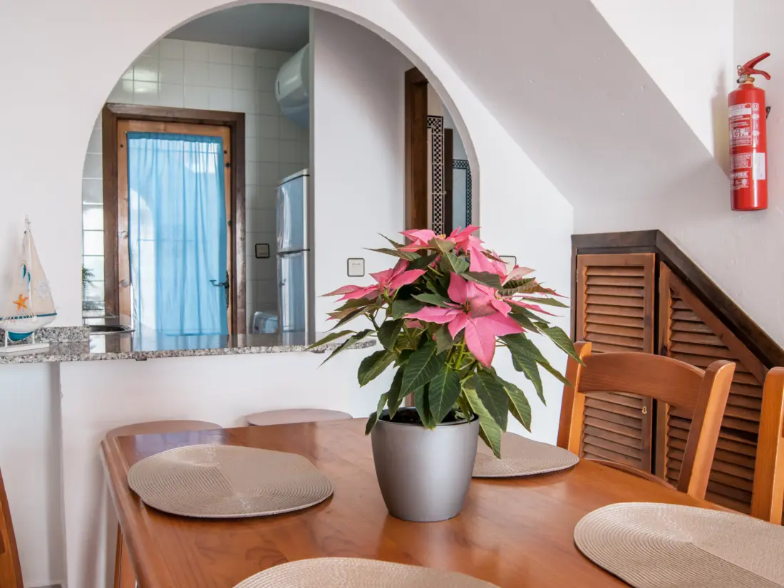 Location de Vacances San Javier 160