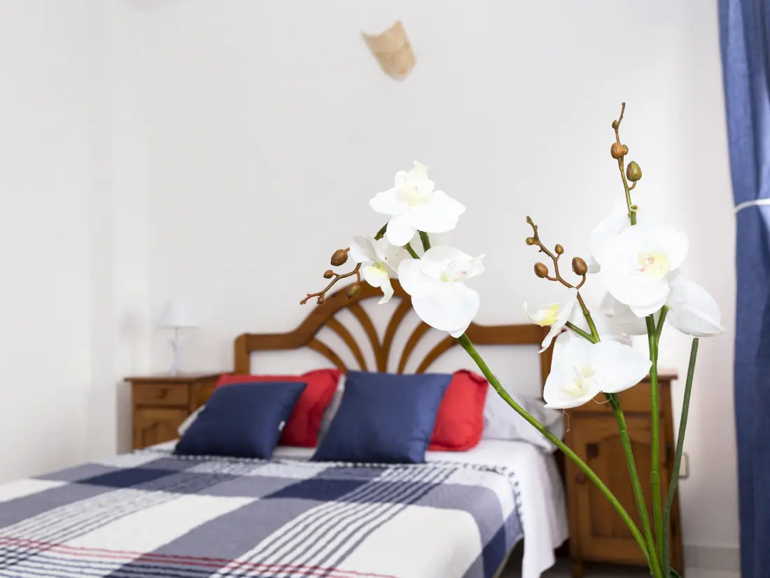 Location de Vacances San Javier 160