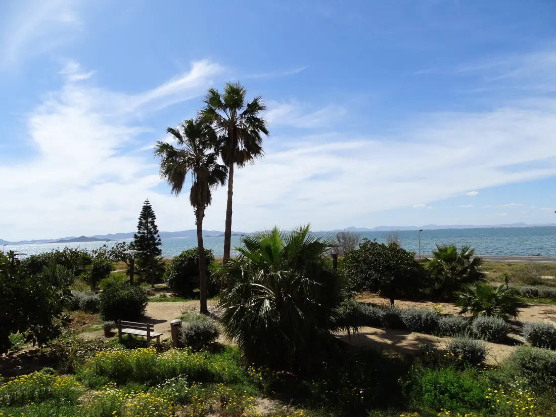 Location de Vacances San Javier 165