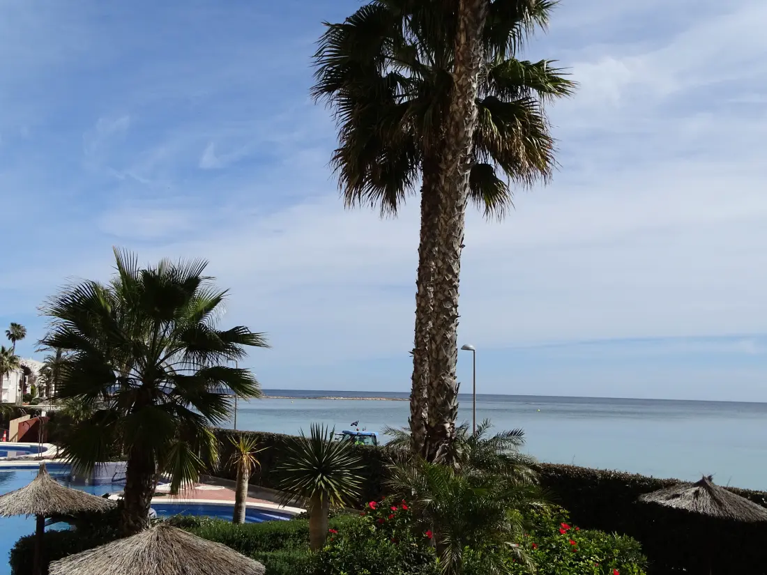 Location de Vacances San Javier 172