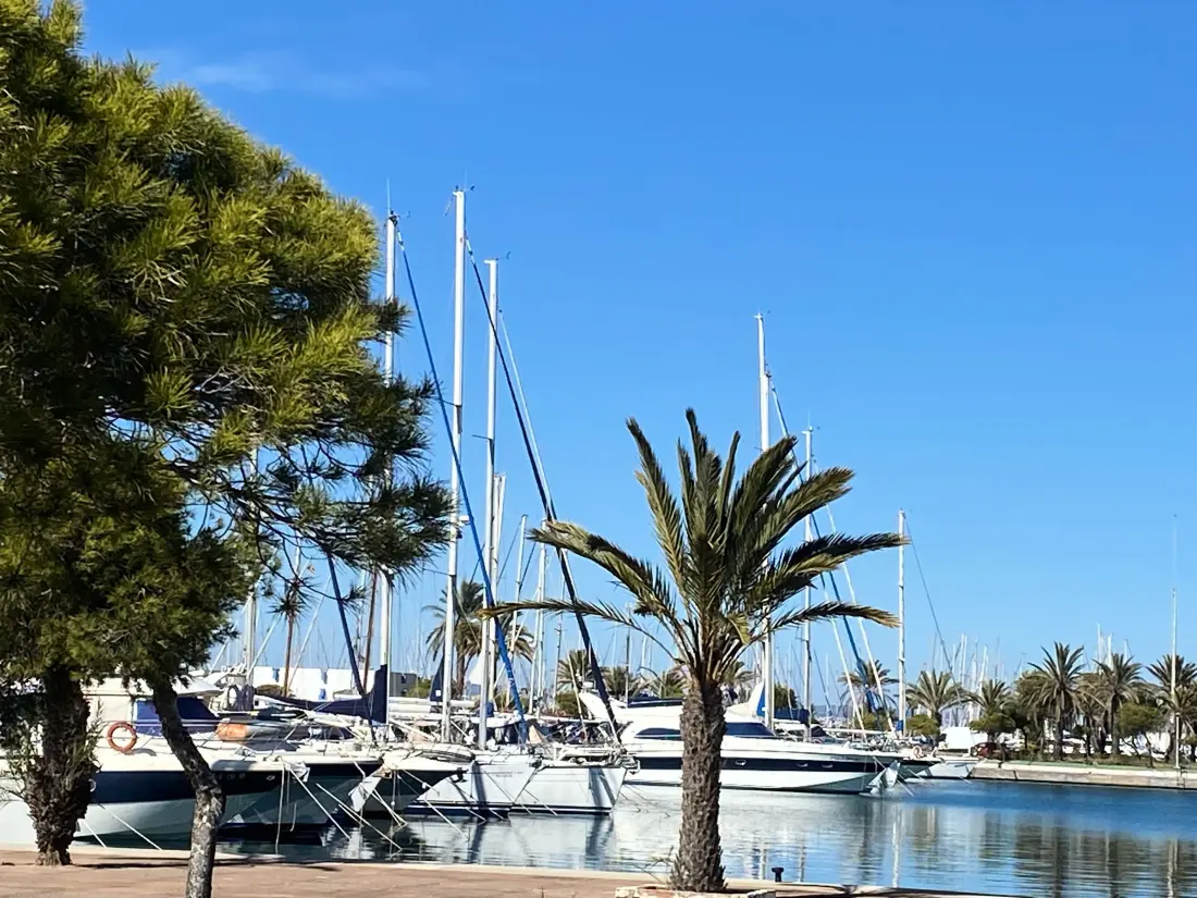 Location de Vacances San Javier 191