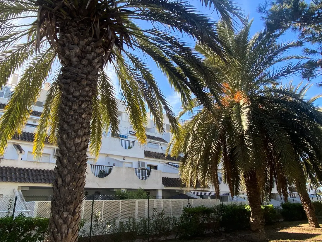 Location de Vacances San Javier 191