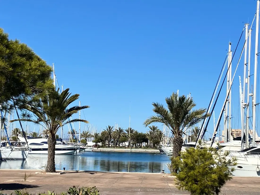Location de Vacances San Javier 191