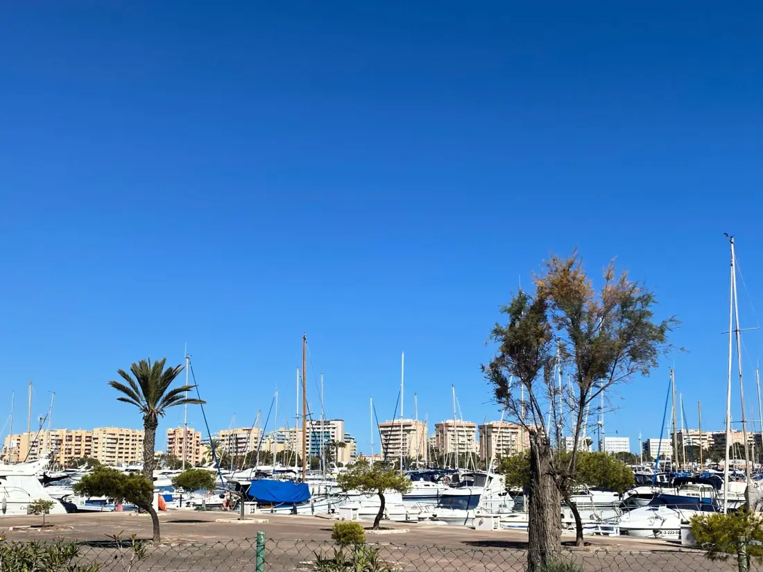 Location de Vacances San Javier 191