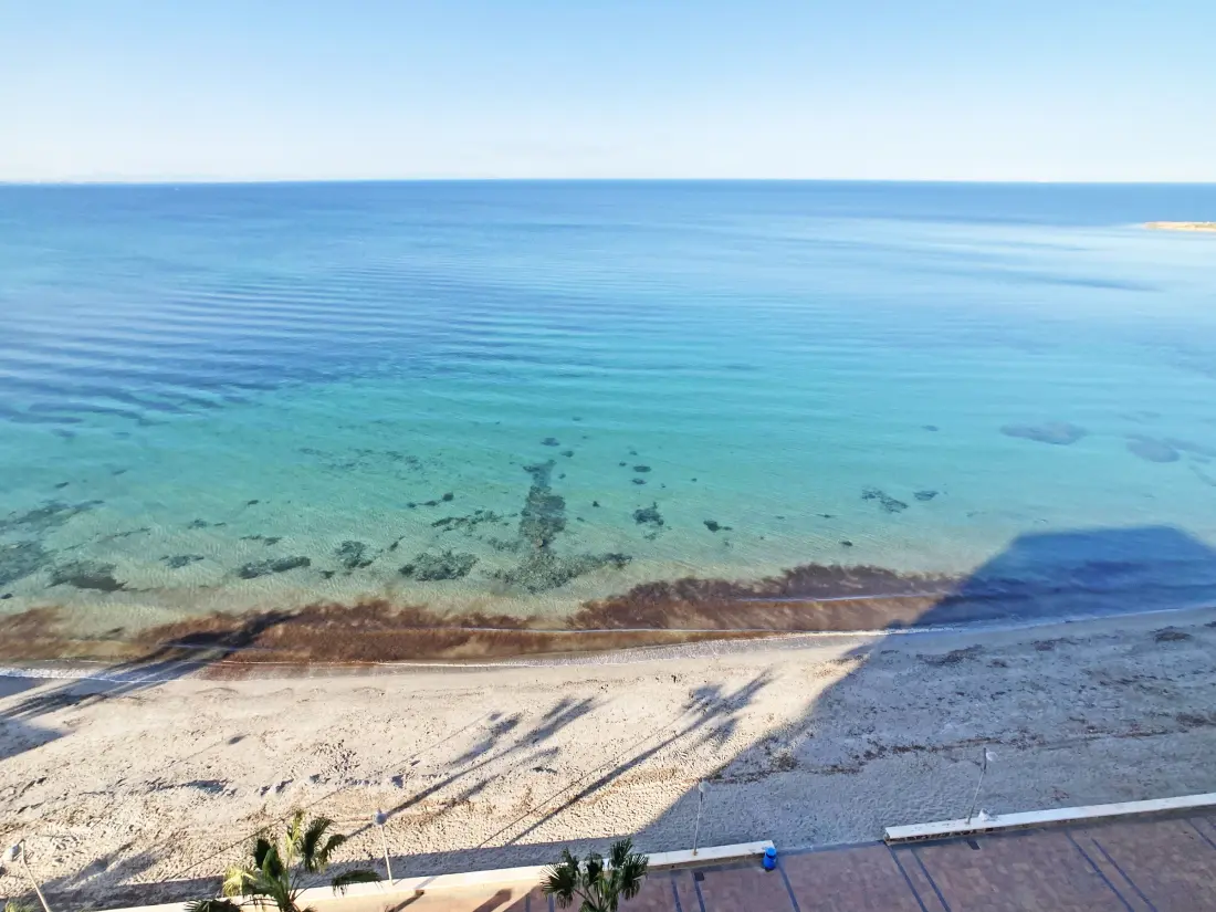 Location de Vacances San Javier 99