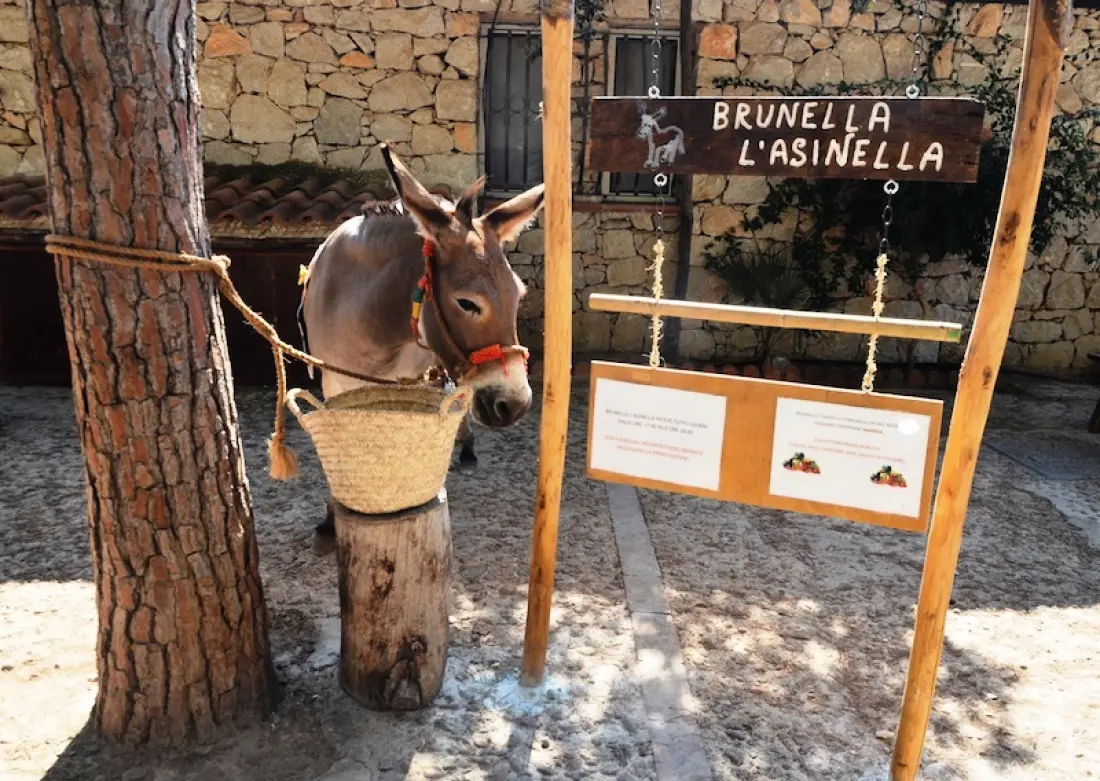 Camping Village El Bahira4 étoiles★★★★