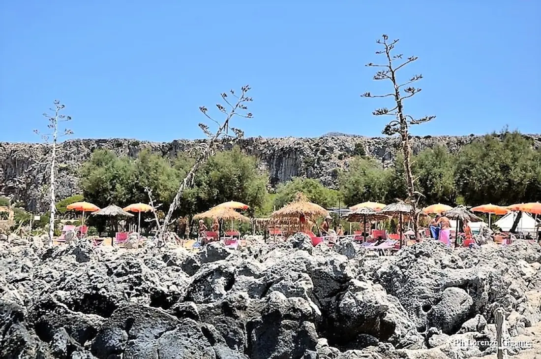 Camping Village El Bahira4 étoiles★★★★