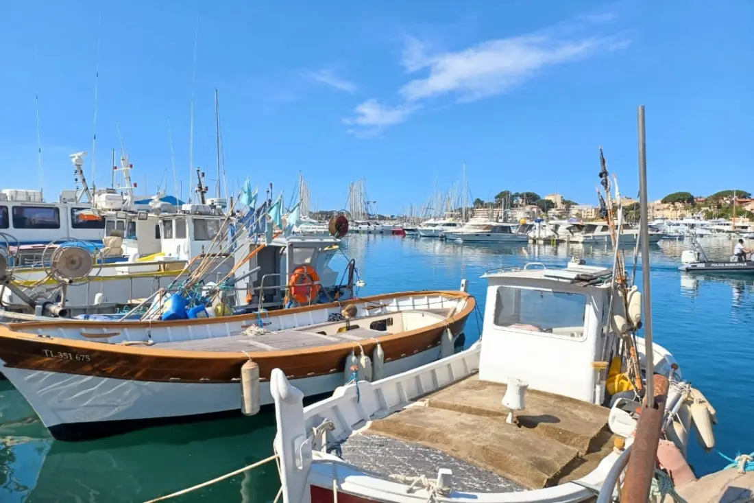 Studio Proche Port Et Plage De Sanary-sur-mer