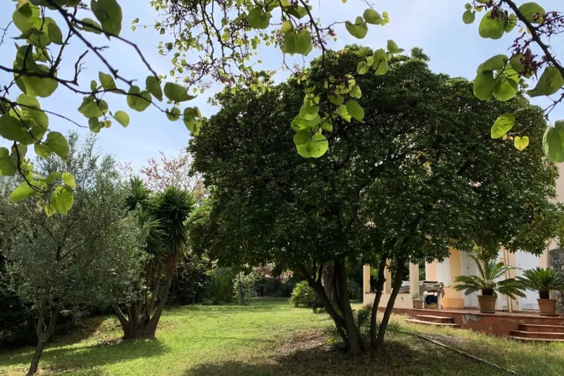 Maison Avec Jardin à 5 Min Du Port De Sanary