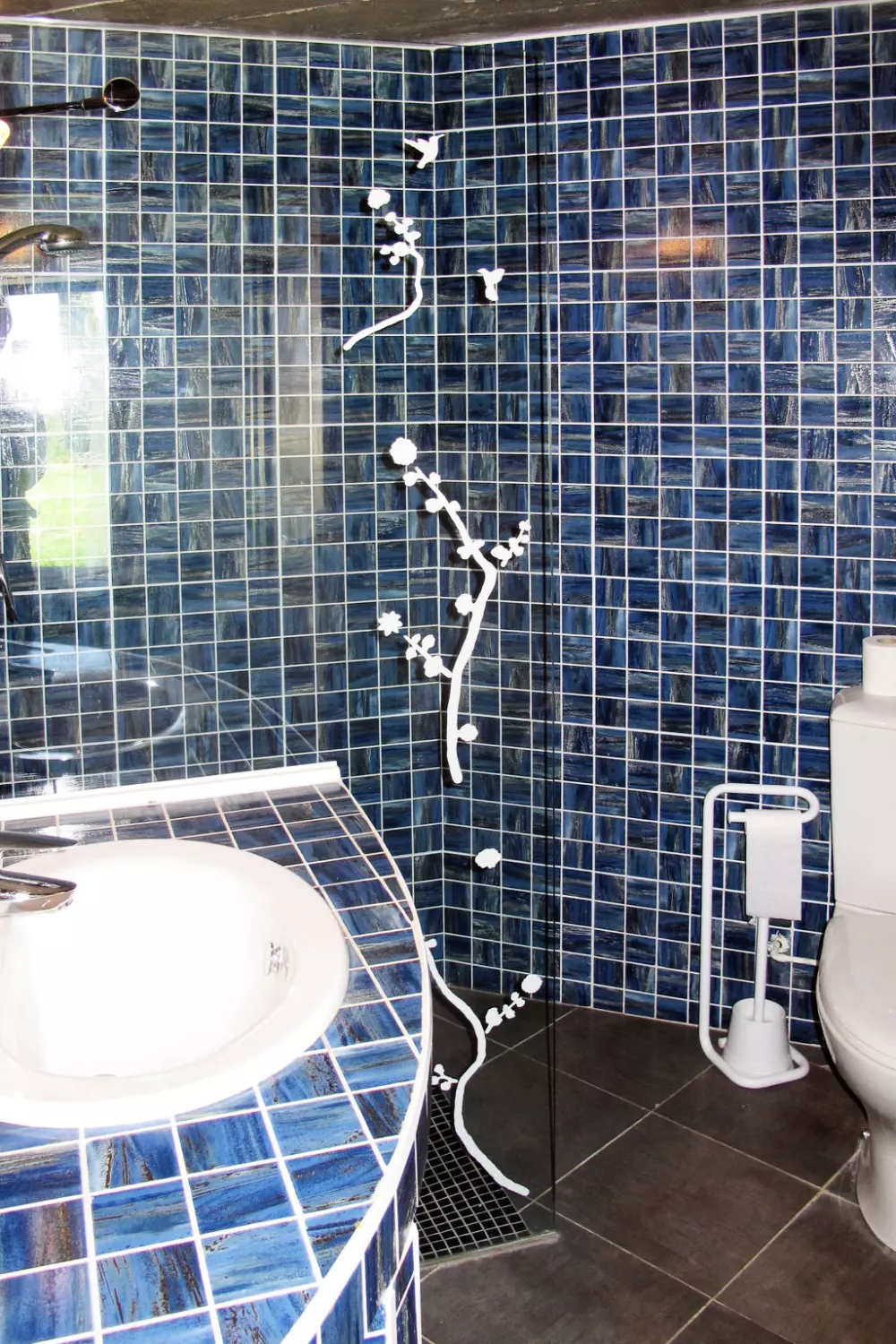 Maison de Vacances Sanary sur Mer