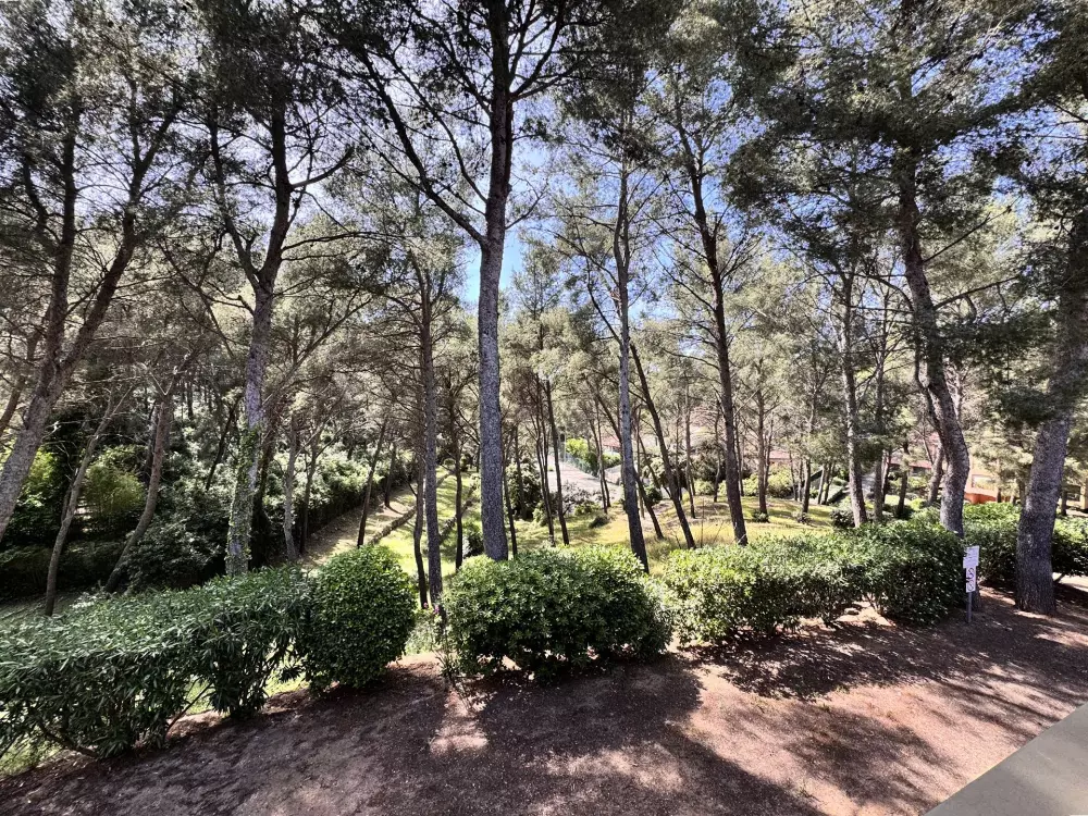 Résidence Le Vallon Du Roy