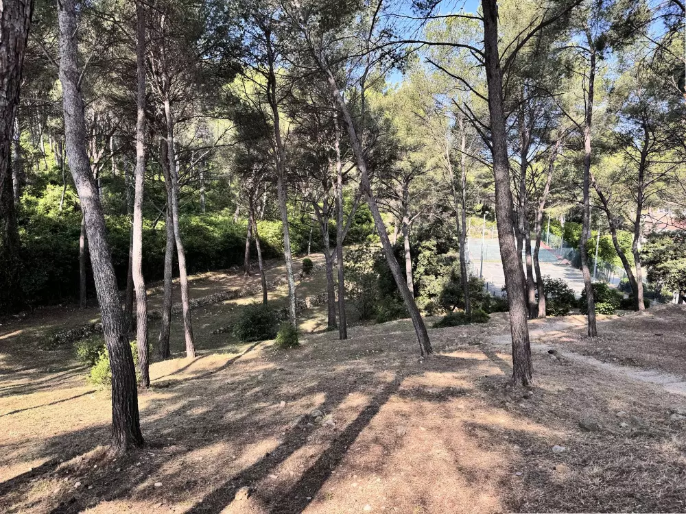 Résidence Le Vallon Du Roy