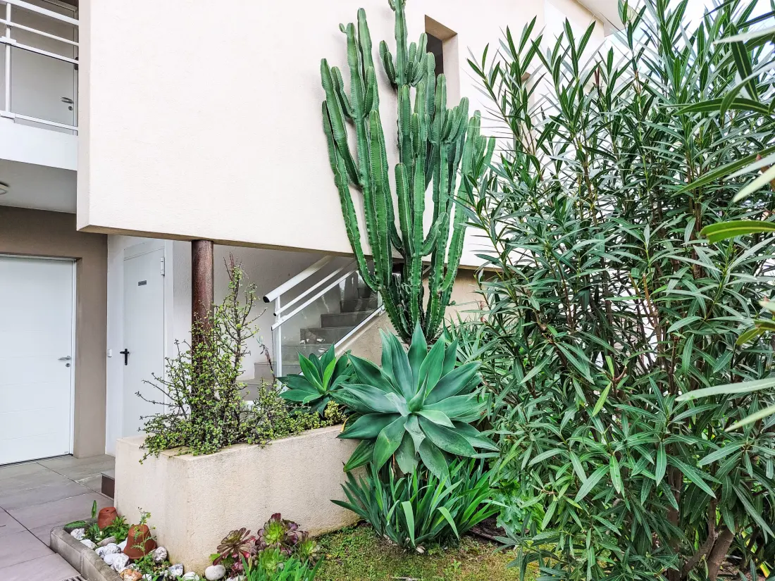 Résidence Les Terrasses d'Azur