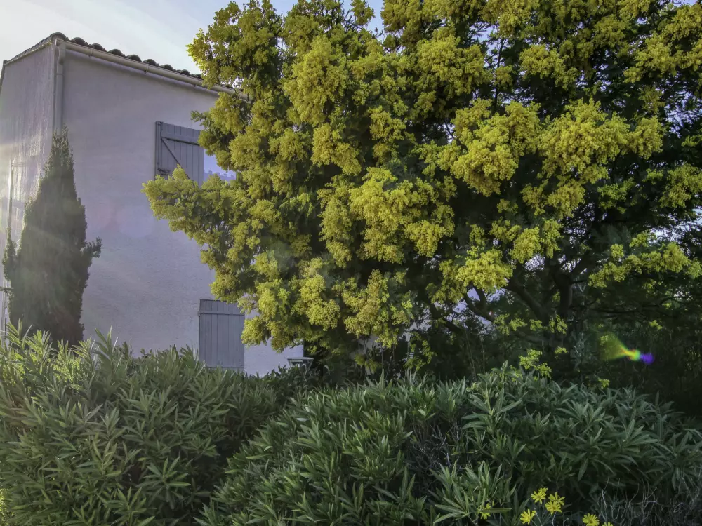 Résidence Terre Marine