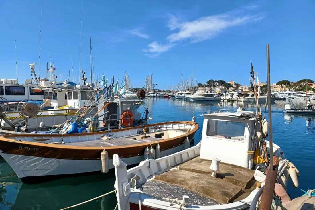 Studio 4 Pers Avec Piscine à 150m Mer